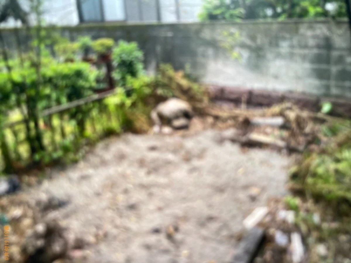 【鹿児島市】木の剪定・伐採、小屋の解体・回収、不用品の回収ご依頼
