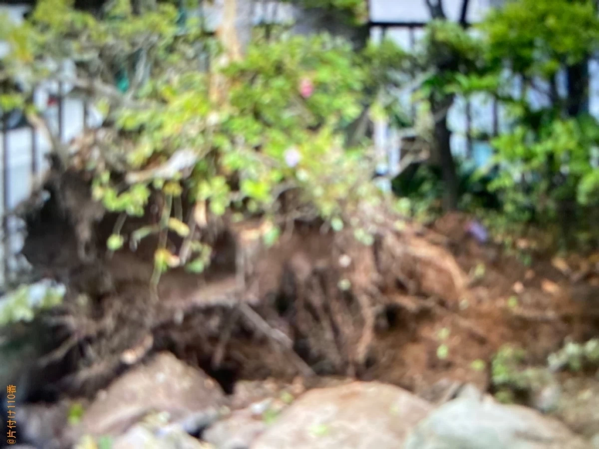 【鹿児島市西紫原町】庭石、布団、婚礼タンス等の回収と木の伐採