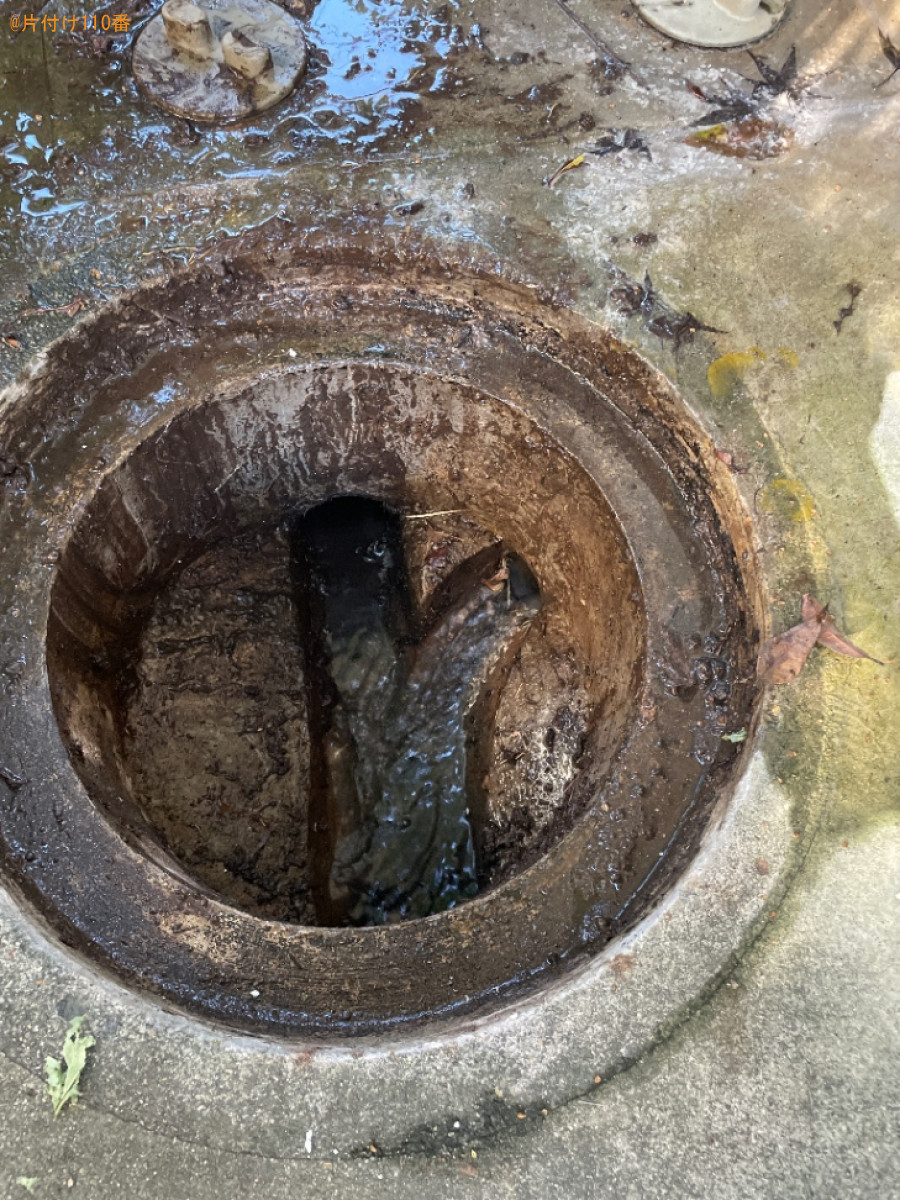 排水口の蓋を開けて掃除する作業ご依頼 お客様の声