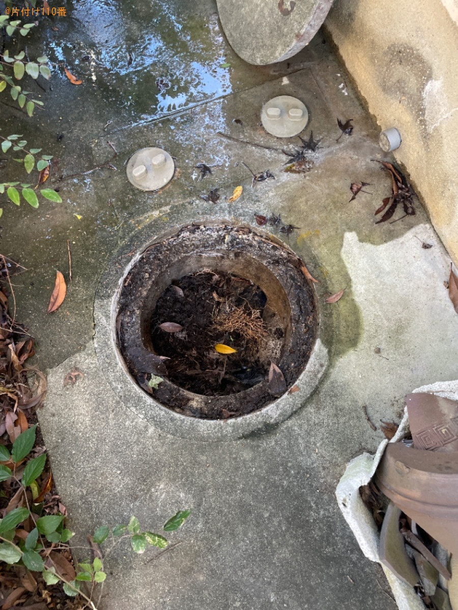 排水口の蓋を開けて掃除する作業ご依頼　お客様の声